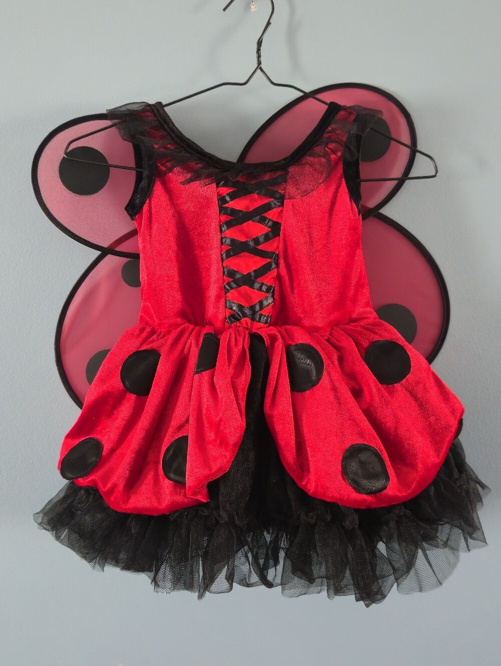 Ladybug Kids Costume Dress with Wings 4T